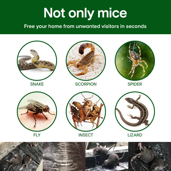 Large Sticky Mouse Trap