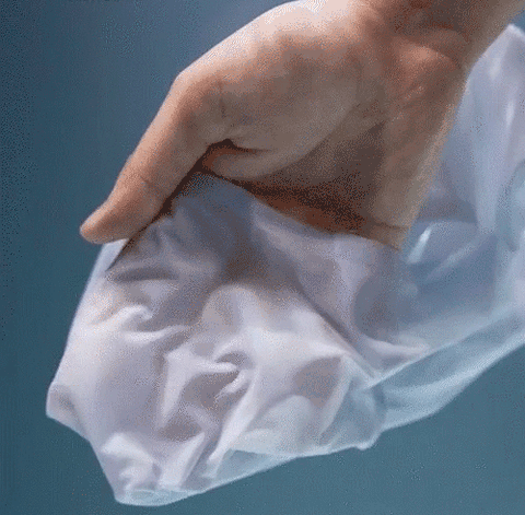 Women's Ice Silk No Trace Panties