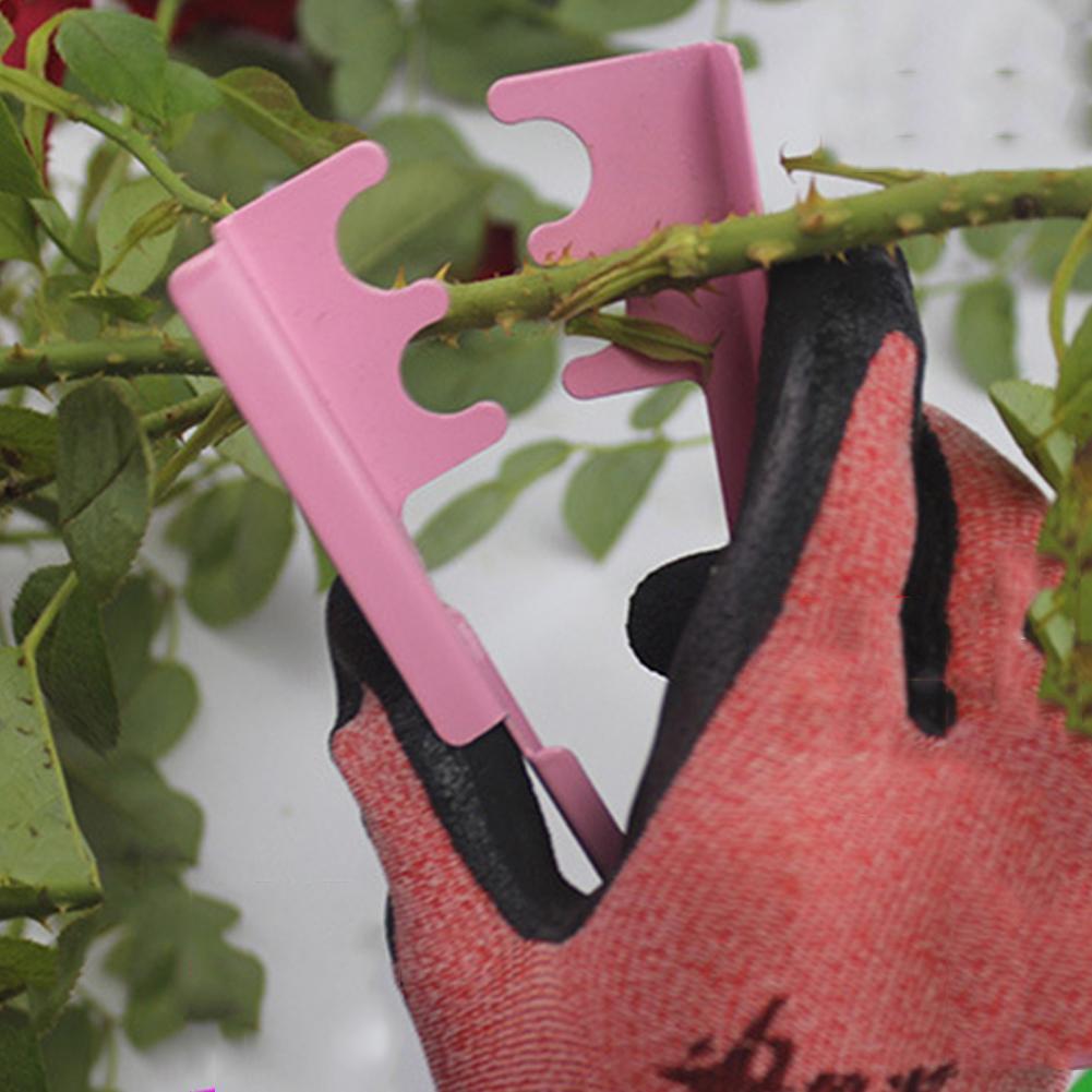 Flower Thorn Stripper