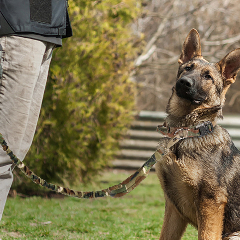 Tactical Dog Collar With Handle