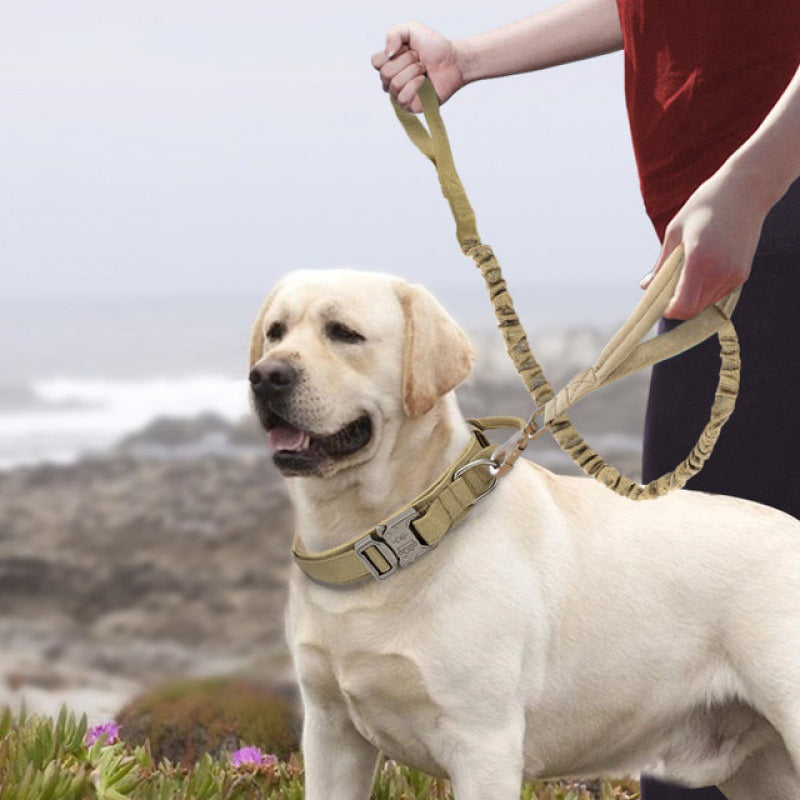 Tactical Dog Collar With Handle