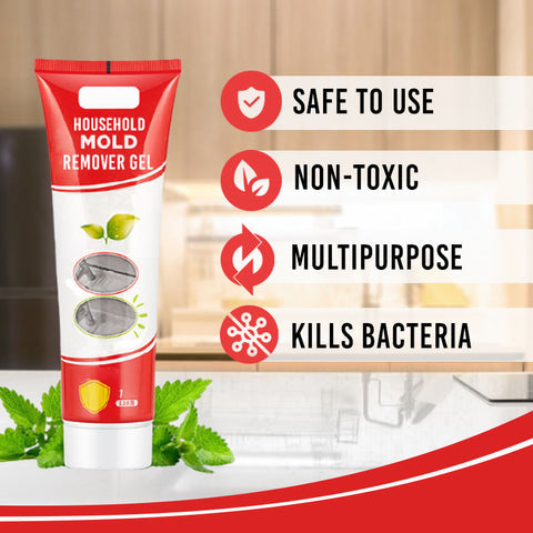 Household Mold Remover Gel