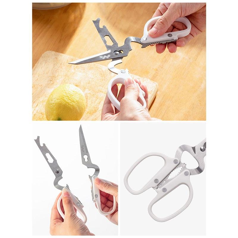 10 in 1 Detachable Scissors