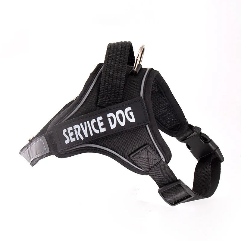 Dog leash K9 chest harness