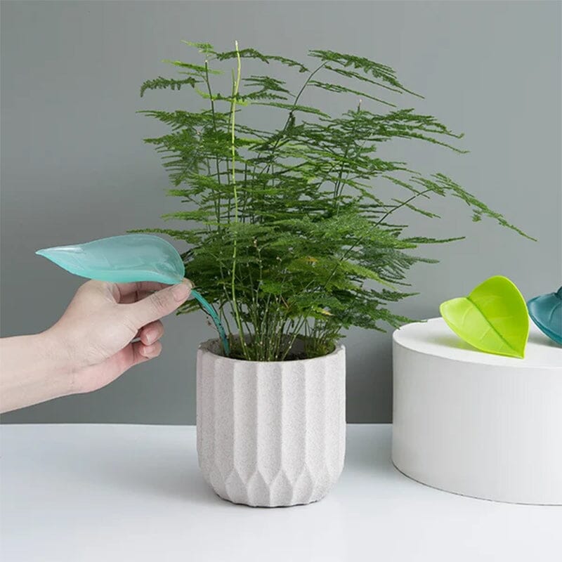 Funny Watering Leaves (3pcs)