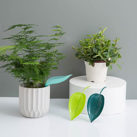 Funny Watering Leaves (3pcs)