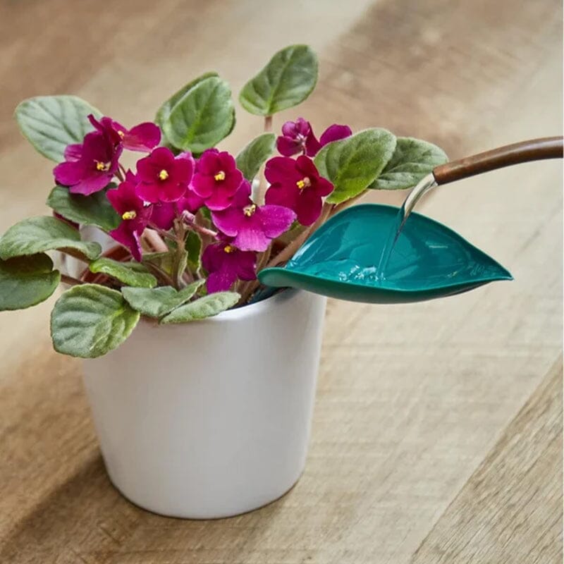 Funny Watering Leaves (3pcs)