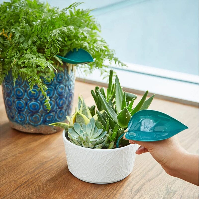 Funny Watering Leaves (3pcs)