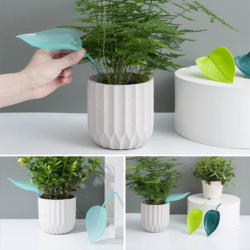 Funny Watering Leaves (3pcs)