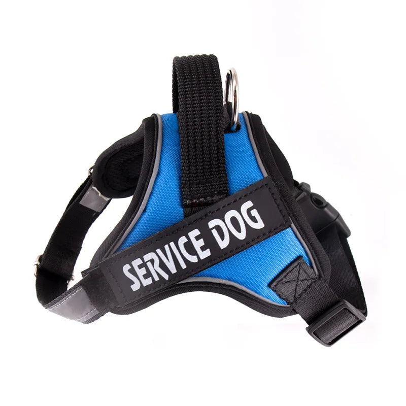 Dog leash K9 chest harness
