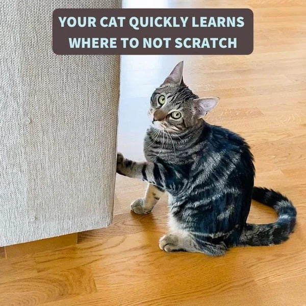 Furniture Scratch Protector